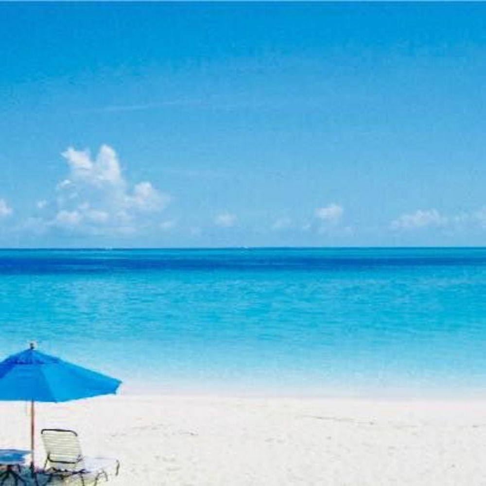 Meet your Posher, Leya